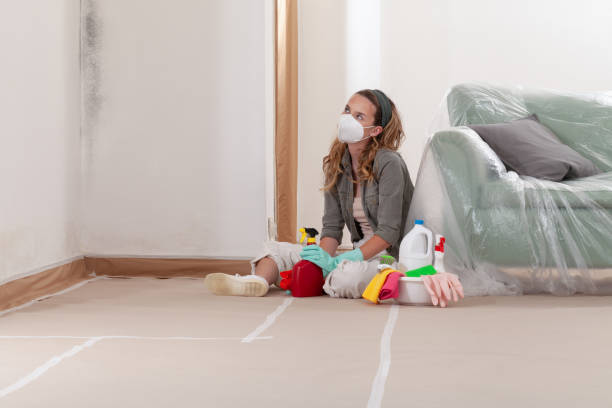 Reliable Black Mold Remediation contractor in Cottage Grove, OR by Car Mold Remediation